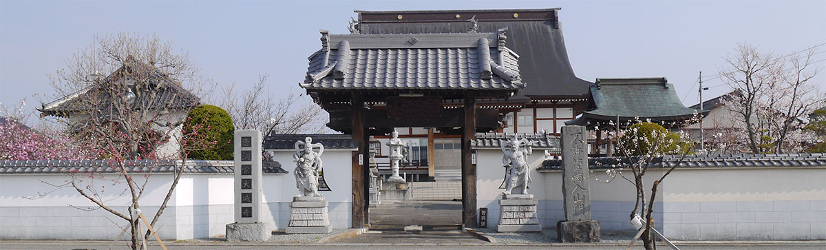概要