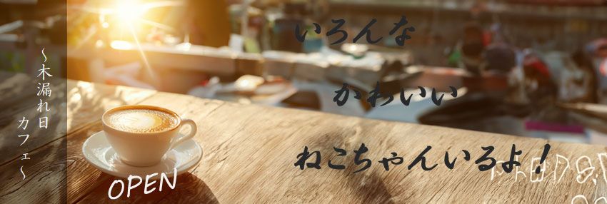 CONCEP猫カフェ ririが9月15日にオープン！