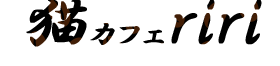 猫カフェ riri